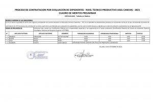 Read more about the article PROCESO DE CONTRATACION POR EVALUACION DE EXPEDIENTES – NIVEL TECNICO PRODUCTIVO UGEL CANCHIS – 2021 CUADRO DE MERITOS PRELIMINAR