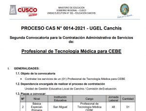 Read more about the article PROCESO CAS N° 0014-2021 – UGEL Canchis