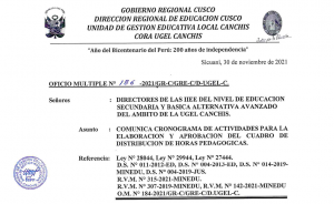 Read more about the article COMUNICA CRONOGRAMA DE ACTIVIDADES PARA LA ELABORACION Y APROBACION DEL CUADRO DE DISTRIBUCION DE HORAS PEDAGOGICAS.