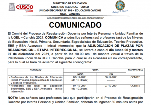 Read more about the article COMUNICADO – ADJUDICACION DE PLAZAS POR REASIGNACION – ETAPA INTERREGIONAL