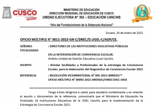 Read more about the article BRINDAR FACILIDADES A PROFESIONALES DE LA ESTRATEGIA DE CONVIVENCIA ESCOLAR, PARA LA ELABORACIÓN DEL DIAGNÓSTICO DE CONVIVENCIA ESCOLAR 2022