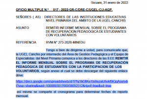 Read more about the article REMITIR INFORME MENSUAL SOBRE EL PROGRAMA DE RECUPERACION PEDAGOGICA DE ESTUDIANTES CON VOLUNTARIOS