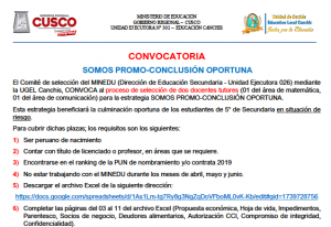 Read more about the article CONVOCATORIA – SOMOS PROMO-CONCLUSIÓN OPORTUNA