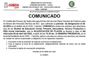 Read more about the article COMUNICADO –  DIRECTIVO DE IIEE