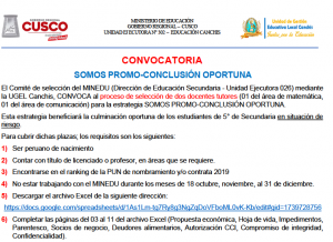 Read more about the article CONVOCATORIA<br>SOMOS PROMO-CONCLUSIÓN OPORTUNA