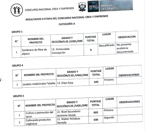 Read more about the article RESULTADOS II ETAPA DEL CONCURSO NACIONAL CREA Y EMPRENDE CATEGORÍA A