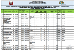 Read more about the article PROCESO DE ENCARGATURA DE PROFESORES EN AREAS DE DESEMPEÑO LABORAL DE LA LEY N° 29944, R.V.M. N° 165-2022-MINEDU