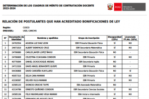 Read more about the article RELACIÓN DE POSTULANTES QUE HAN ACREDITADO BONIFICACIONES DE LEY