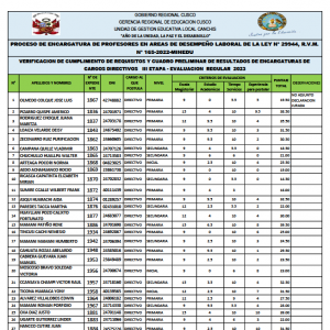 Read more about the article PROCESO DE ENCARGATURA DE PROFESORES EN AREAS DE DESEMPEÑO LABORAL DE LA LEY N° 29944, R.V.M. N° 165-2022-MINEDU