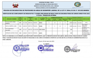 Read more about the article PROCESO DE ENCARGATURA DE PROFESORES EN AREAS DE DESEMPEÑO LABORAL DE LA LEY N° 29944, R.V.M. N° 165-2022-MINEDU