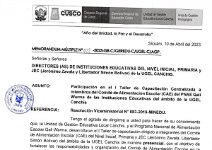 Read more about the article Participación en el I Taller de Capacitación Centralizada a miembros del Comité de Alimentación Escolar (CAE) del PNAE Qali Warma de las Instituciones Educativas del ámbito de la UGEL Canchis