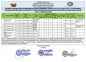 Read more about the article PROCESO DE ENCARGATURA DE PROFESORES EN AREAS DE DESEMPEÑO LABORAL DE LA LEY N° 29944, R.V.M. N° 165-2022-MINEDU