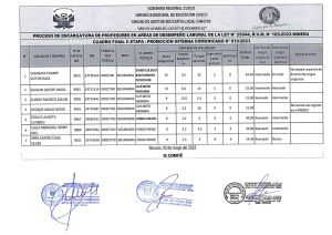 Read more about the article PROCESO DE ENCARGATURA DE PROFESORES EN AREAS DE DESEMPEÑO LABORAL DE LA LEY N° 29944, R.V.M. N° 165-2022-MINEDU