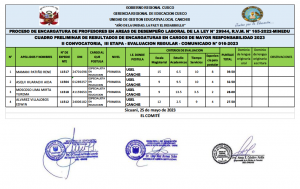 Read more about the article PROCESO DE ENCARGATURA DE PROFESORES EN AREAS DE DESEMPEÑO LABORAL DE LA LEY N° 29944, R.V.M. N° 165-2022-MINEDU