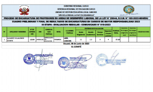 Read more about the article PROCESO DE ENCARGATURA DE PROFESORES EN AREAS DE DESEMPEÑO LABORAL DE LA LEY N° 29944, R.V.M. N° 165-2022-MINEDU