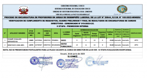 Read more about the article PROCESO DE ENCARGATURA DE PROFESORES EN AREAS DE DESEMPEÑO LABORAL DE LA LEY N° 29944, R.V.M. N° 165-2022-MINEDU