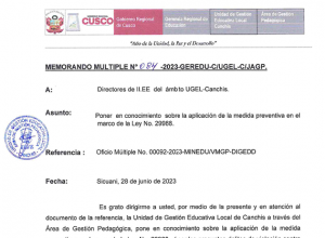 Read more about the article Poner en conocimiento sobre la aplicación de la medida preventiva en el marco de la Ley No. 29988.