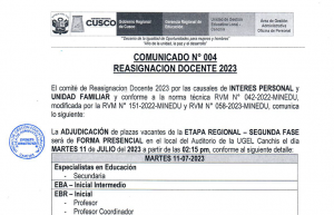 Read more about the article COMUNICADO N° 004REASIGNACION DOCENTE 2023