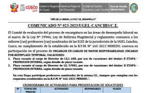 Read more about the article PROCESO DE ENCARGATURA EN LAS ÁREAS DE DESEMPEÑO LABORAL EN EL MARCO DE LA LEY N° 29944, LEY DE REFORMA MAGISTERIAL Y REGLAMENTO – COMUNICADO N° 023-2023/UGEL-CANCHIS/C.E.