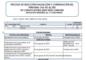 Read more about the article PROCESO DE SELECCIÓN EVALUACIÓN Y CONTRATACIÓN DEL PERSONAL CAS JEC N° 002